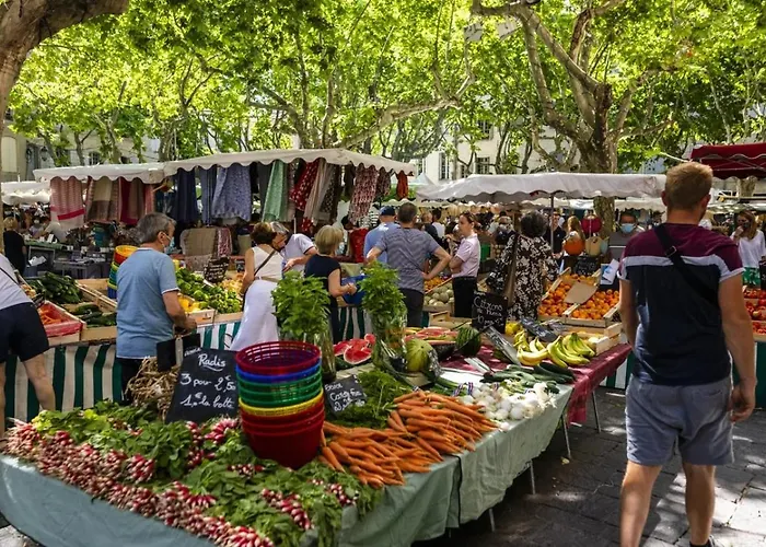 Διαμέρισμα Avec Terrasse Et Parking En Centre D'uzes *